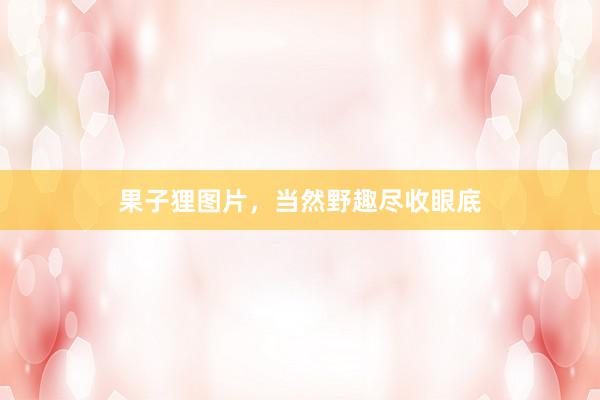 果子狸图片,当然野趣尽收眼底