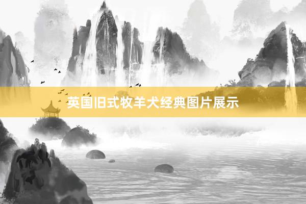 英国旧式牧羊犬经典图片展示