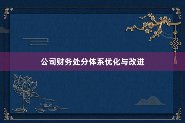 公司财务处分体系优化与改进